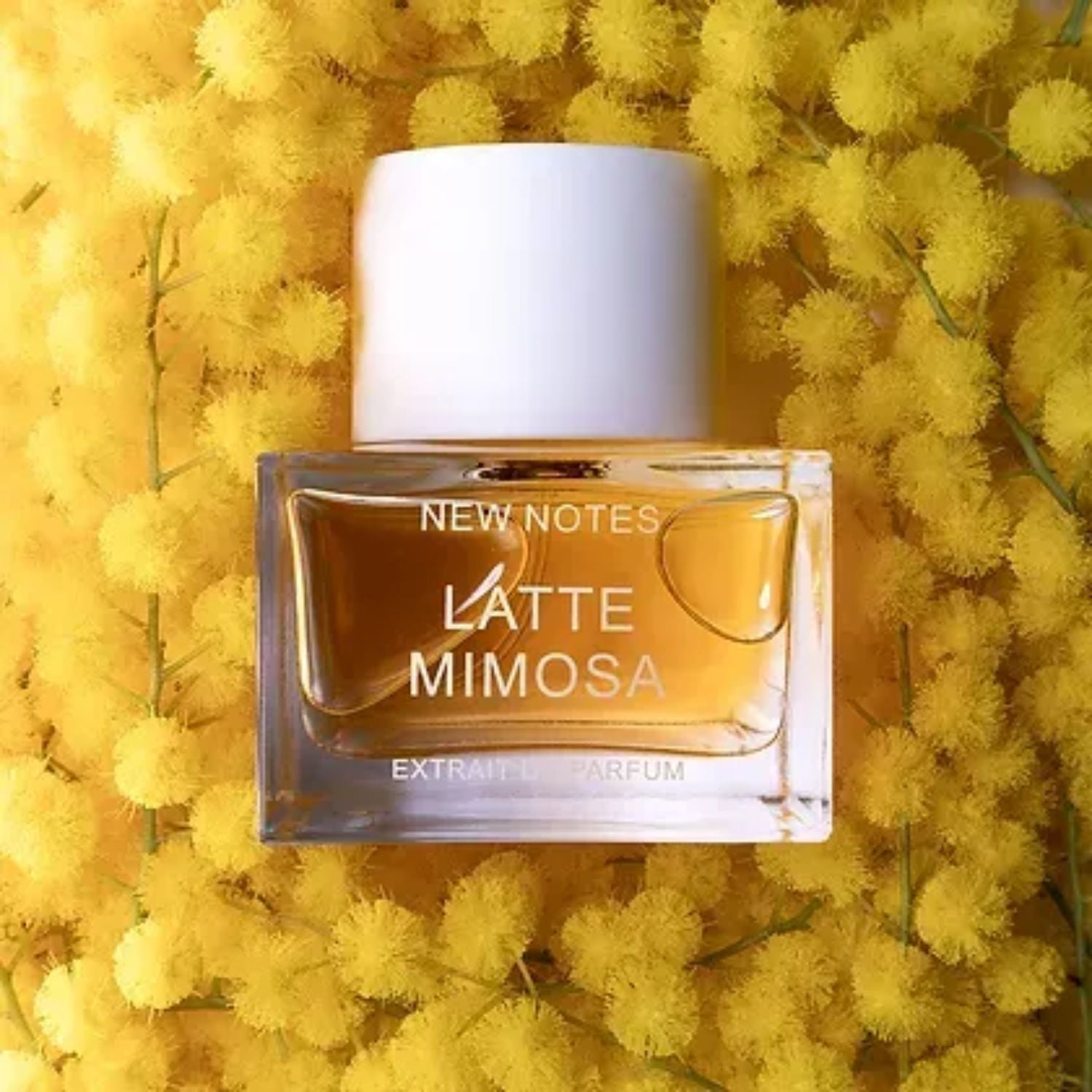 Latte Mimosa