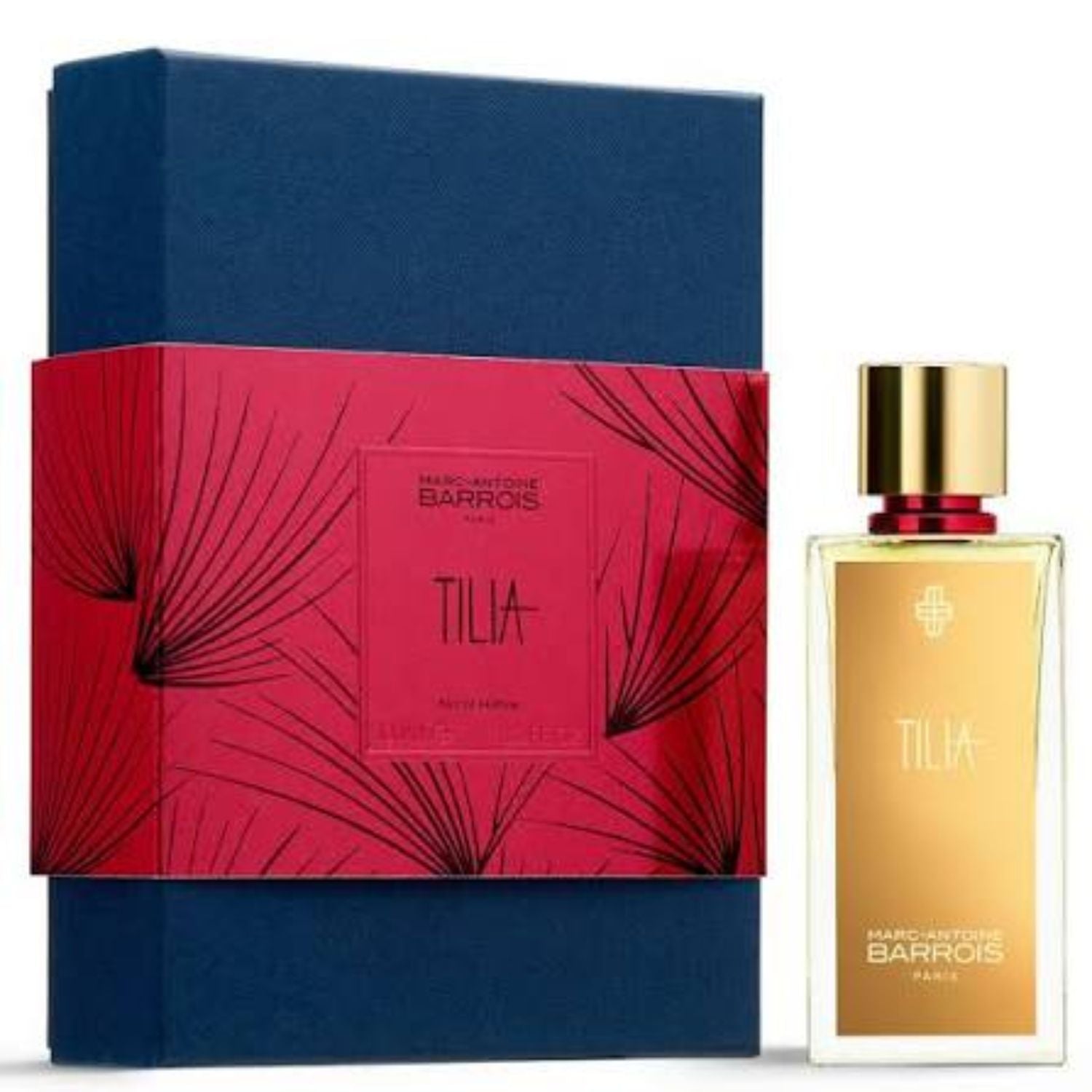 Tilia