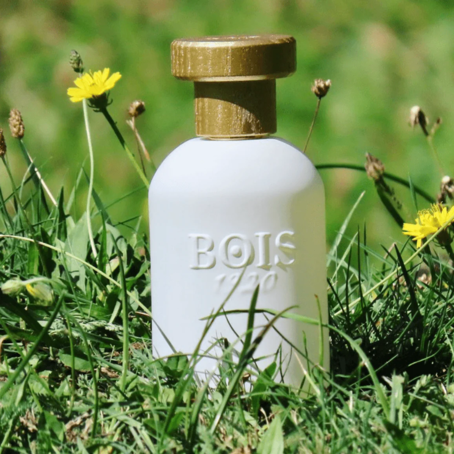 Oro Bianco