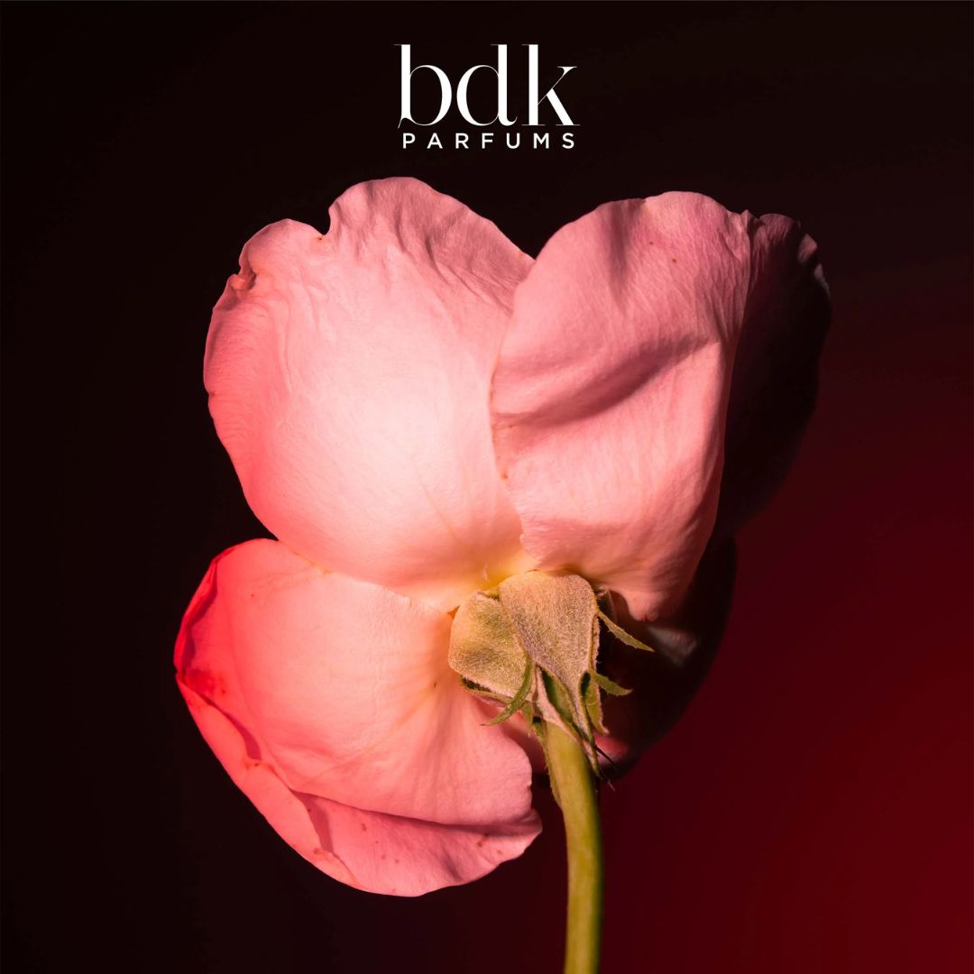 parfum bdk