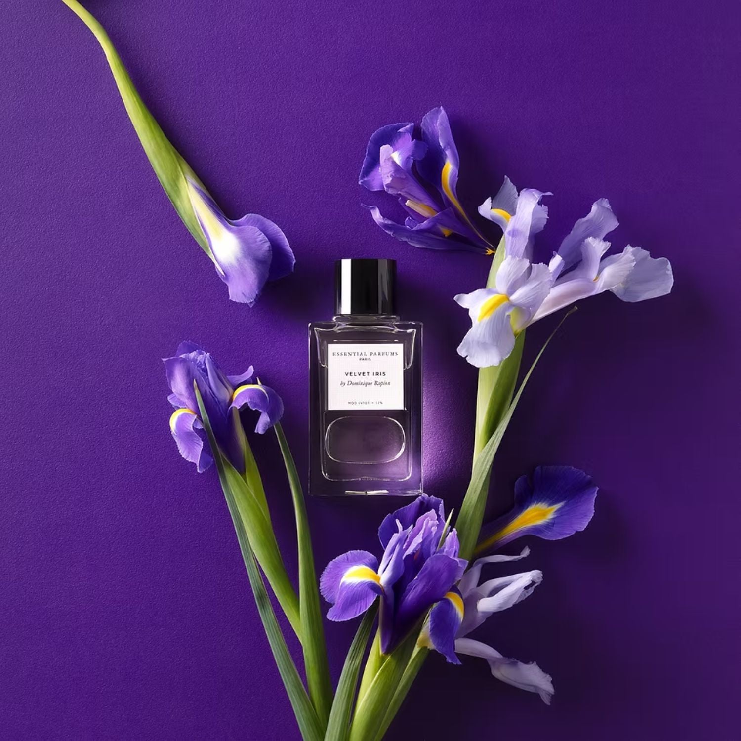 VELVET IRIS